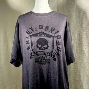 HARLEY-DAVIDSON Men’s Size L Gray Cotton blend official merch motorcycle t-shirt